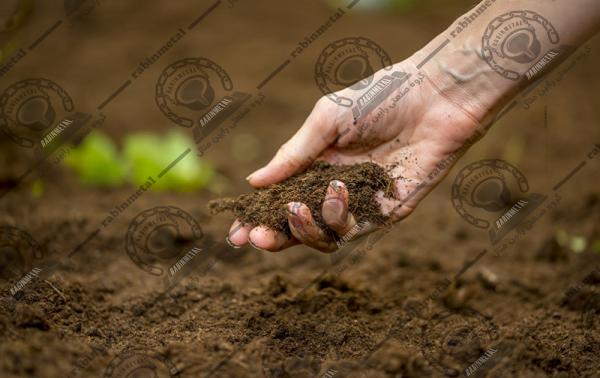 راهنمای خرید و انتخاب خاک روی اصل